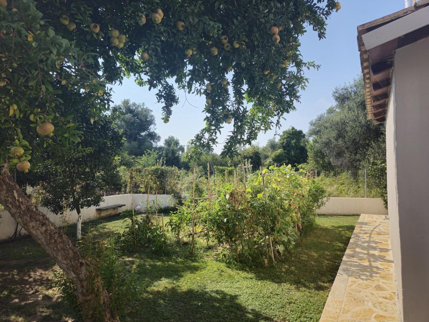 Xampelo Villa *