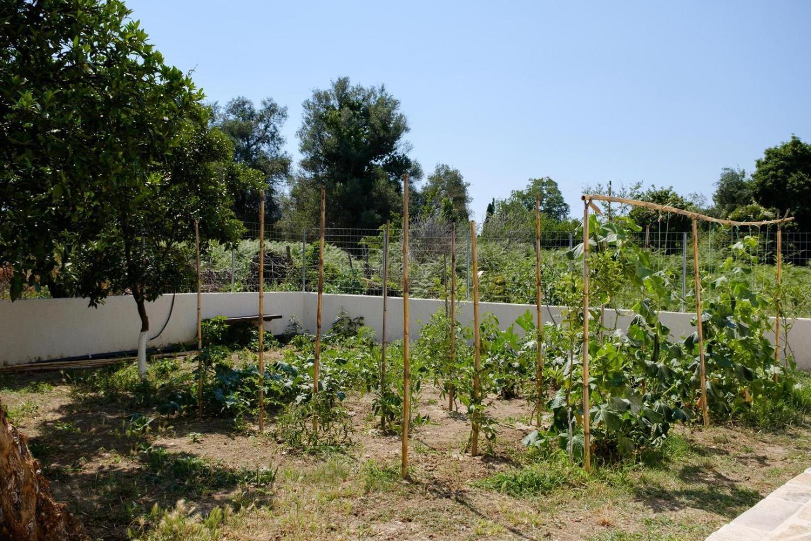 Villa Xampelo *